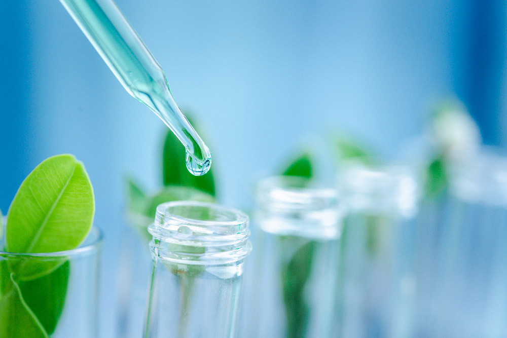 produits d'hygiène écologiques