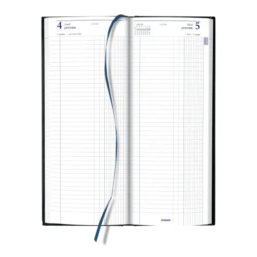 Agenda journalier  banque Euros/cents - 12,8x33 cm - Noir - Janvier &agrave; d&eacute;cembre - BREPOLS photo du produit