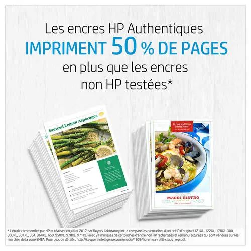 HP 72 tête d'impression noir et gris C9380A photo du produit