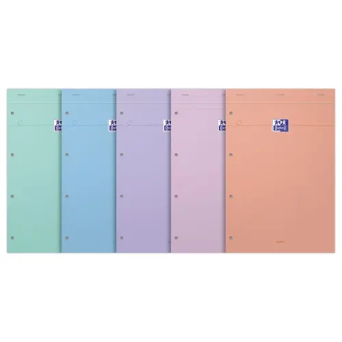 Bloc International - A4+ - 4 trous - Réglure Seyès - Oxford photo du produit