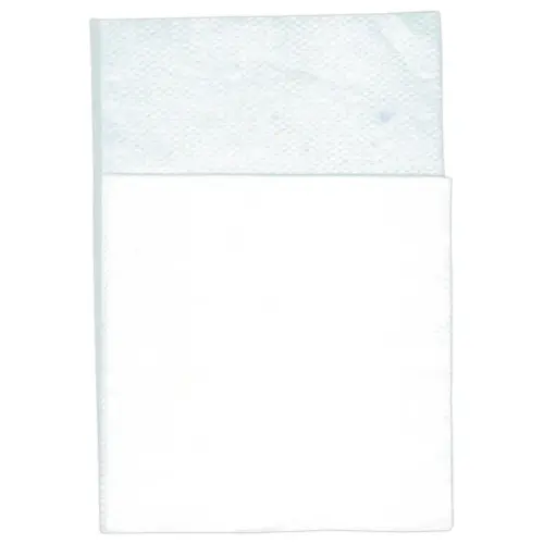 200 Serviettes 2 plis - 16,5 x 20 cm - Blanc - Access photo du produit