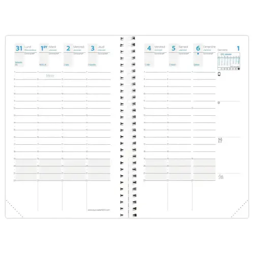 Agenda semainier  Time Life - 10x15 cm - Cuivre - Janvier à décembre - QUO VADIS photo du produit