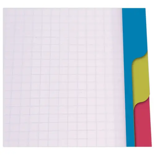 Cahier spirale A4+ Evolutiv'Book Linicolor - Clairefontaine photo du produit