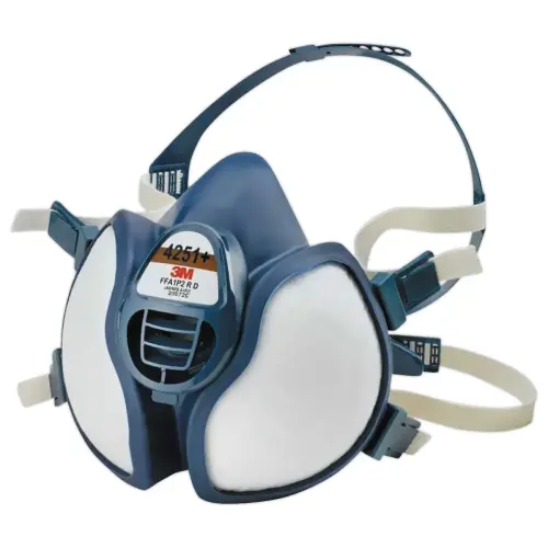 Filtre consommable pour masque 4255 - 3M photo du produit