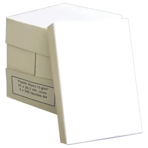 5 Ramettes de 500 feuilles - Papier blanc - A4 - 75g - &Eacute;conomique photo du produit