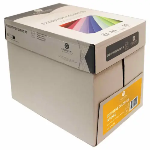 Ramette de papier couleur intense A4 Executive Colors 80g - Orange - FIDUCIAL photo du produit
