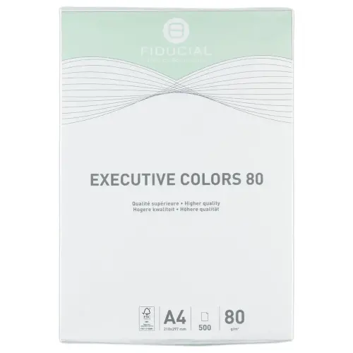 Ramette de papier couleur intense A4 Executive Colors 80g - Vert - Fiducial photo du produit