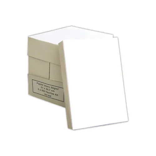Ramettes de 500 feuilles de papier A4 - 75g - Blanc standard