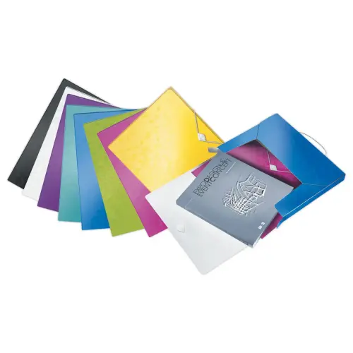 Boîte de classement plastique WOW - Violet - Leitz photo du produit