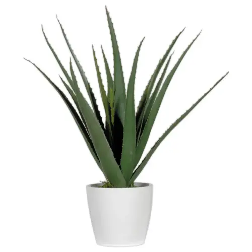 Plante artificielle Aloe vera - H 45 cm photo du produit