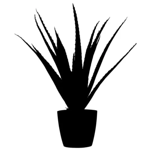 Plante artificielle Aloe vera - H 45 cm photo du produit