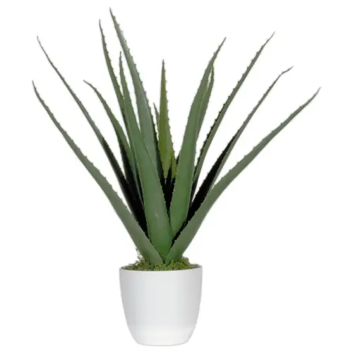 Plante artificielle Aloe vera - H 45 cm photo du produit