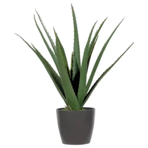 Plante artificielle Aloe vera - H 45 cm photo du produit