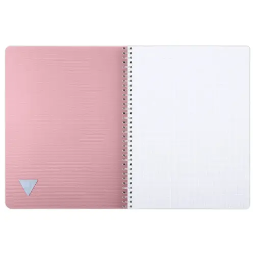 Cahier spirales Linicolor - A4 - 100 pages - 5x5 - Clairefontaine photo du produit