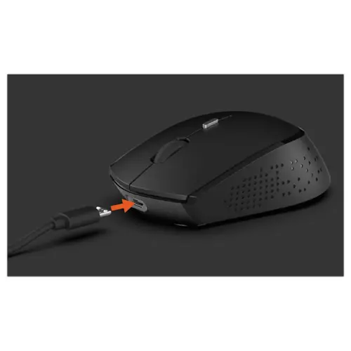 Souris Sans Fil Dual Dongle USB-C - Rechargeable - Mobility Lab photo du produit