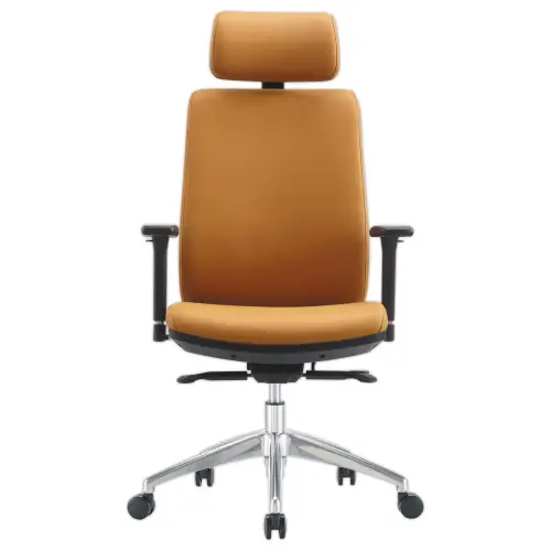 Appui-T&ecirc;te Sherman Gold + Cash Polyur&eacute;thane - Generique photo du produit