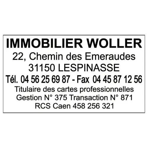 Tampon personnalisable Trodat Printy 4928 - Boîtier noir - Encre noire - 60 x 33 mm photo du produit