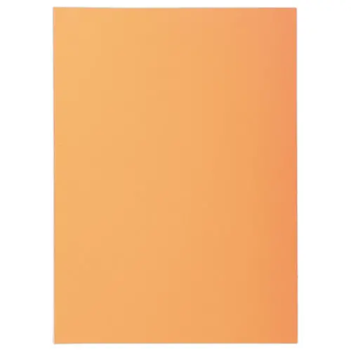 250 Sous-chemises FIDUCIAL 22x31cm- Pastel- 60g photo du produit