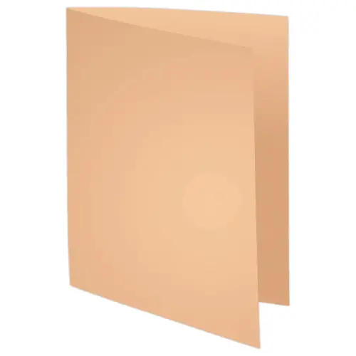250 Sous-chemises - A4 - Couleur bulle - Fiducial photo du produit