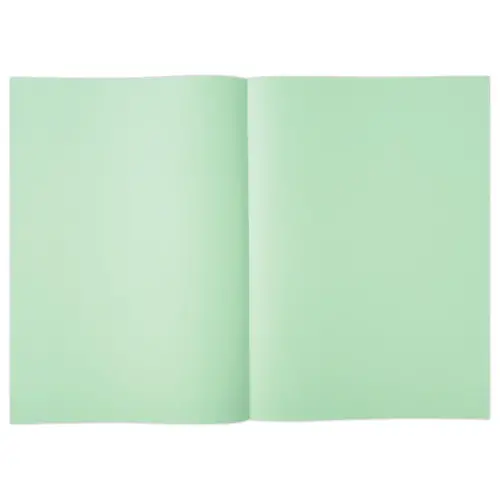 250 Sous-chemises - A4 - Vert pastel - Fiducial photo du produit