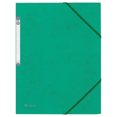 Chemise 3 rabats &agrave; &eacute;lastique en carte rigide - Vert - Fiducial photo du produit