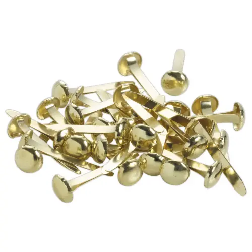 100 Attaches parisiennes 24 mm photo du produit
