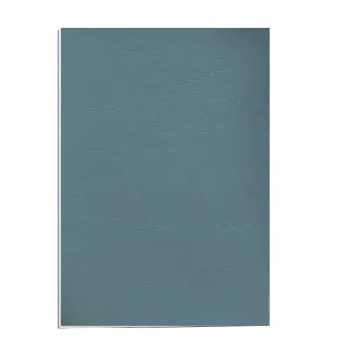 100 Couvertures - grain cuir - A4 - 250g - vert - Fellowes photo du produit