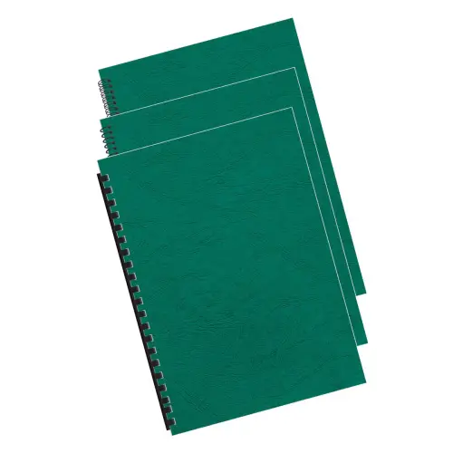 100 Couvertures - grain cuir - A4 - 250g - vert - Fellowes photo du produit