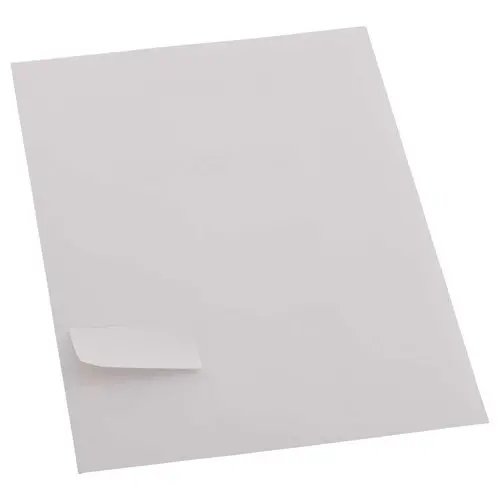 100 Planches de 21 étiquettes à coins ronds - 63,5 x 38,1 mm - FIDUCIAL photo du produit