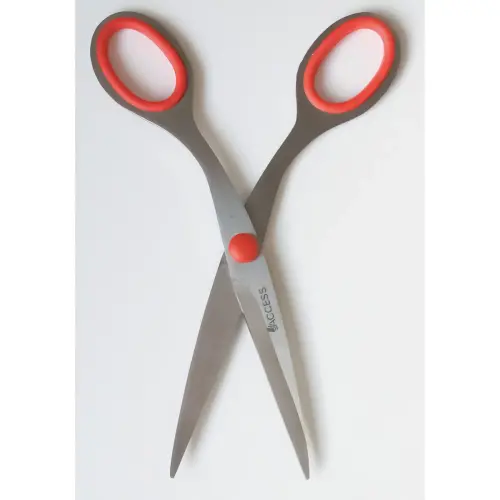 Paire de ciseaux - 17 cm - ACCESS photo du produit