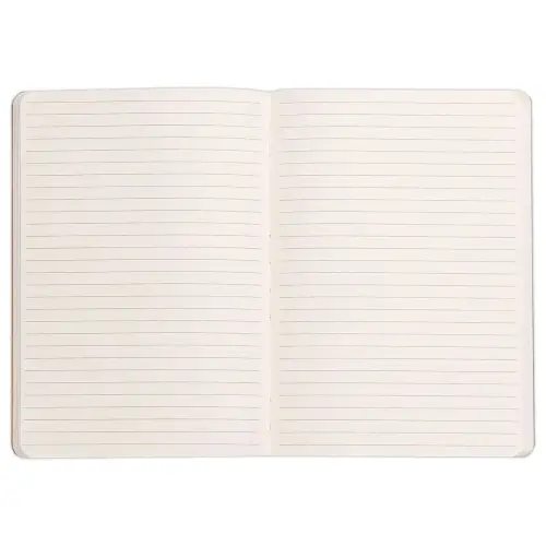 Carnet broch&eacute; Rhodiarama - A5 - 160 pages - noire - Rhodia photo du produit