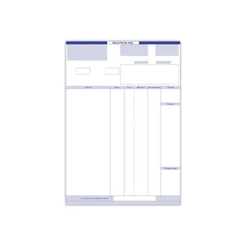 500 Bulletins laser CCMX Simplifié photo du produit