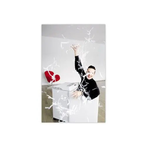 Destructeur Ideal 2503 - coupe crois&eacute;e photo du produit