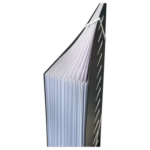 Trieur &agrave; &eacute;lastiques couverture grain&eacute;e noire - 12 onglets - Extendos photo du produit