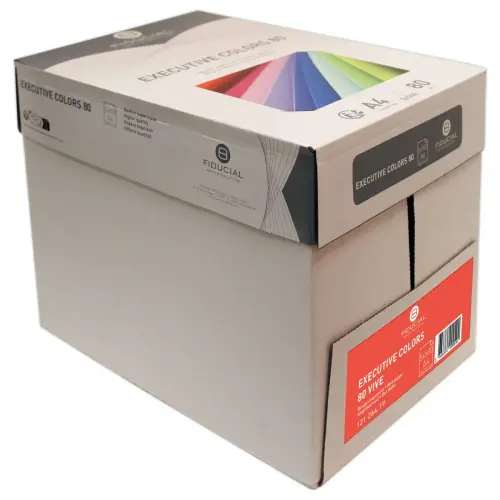 Ramette de 500 feuilles papier couleurs vives A4 Executive Colors - Rouge - Fiducial photo du produit