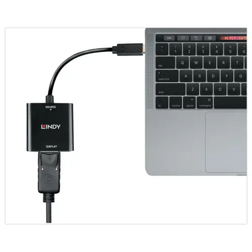 Convertisseur USB Type C vers DisplayPort 4K144 - Lindy photo du produit