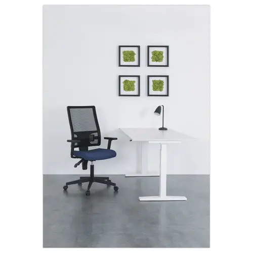 Siège de bureau synchrone Taktik - Gris/bleu avec dos résille noir - Monté avec accoudoirs photo du produit