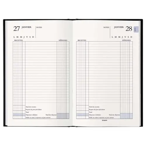 Agenda journalier perpétuel pour recettes et dépenses - Janvier à décembre - 13 x 20,8 cm - Noir - BREPOLS photo du produit