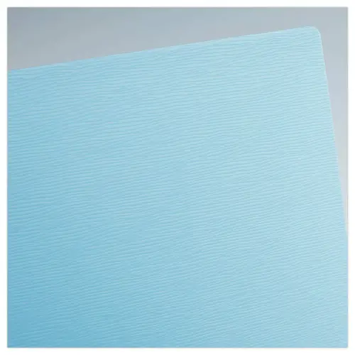 Protège documents - 50 poches - A4 - bleu clair - Fiducial photo du produit
