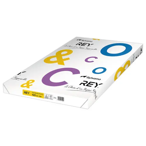 Ramette de 250 feuilles de papier blanc - A3 - 120g - TEXT AND GRAPHICS photo du produit