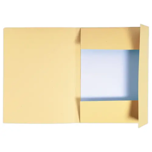 50 Chemises 3 rabats carton 280 g - Format A4 - beige - Exacompta photo du produit