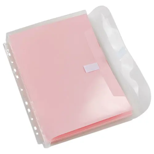 10 Pochettes perfor&eacute;es &agrave; soufflet avec rabat grand c&ocirc;t&eacute; - EXACOMPTA photo du produit