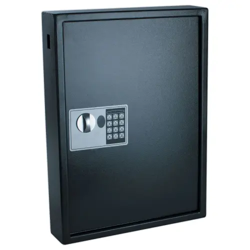 Armoire &agrave; cl&eacute; haute s&eacute;curit&eacute; 50 cl&eacute;s photo du produit