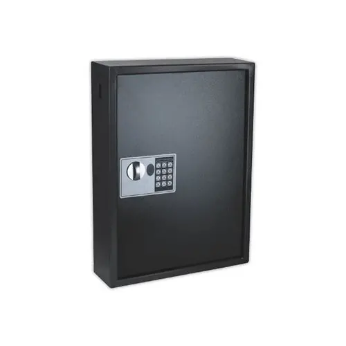 Armoire &agrave; cl&eacute; haute s&eacute;curit&eacute; 100 cl&eacute;s photo du produit