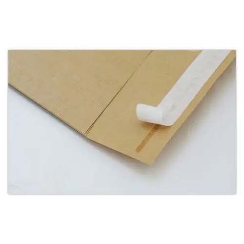 250 Pochettes kraft - 229 x 324 mm - 90g - Ipc Bong photo du produit