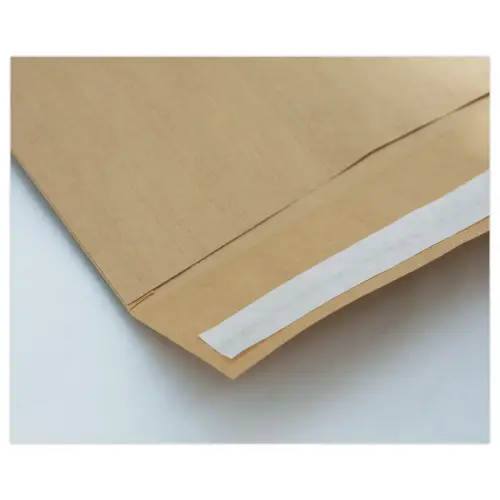 500 Pochettes kraft brun - bande silicon&eacute;e - 162x229 mm - sans fen&ecirc;tre - 90g photo du produit