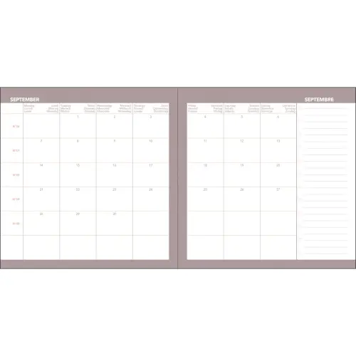 AG S/S QV EXE CELEST 16x16 photo du produit