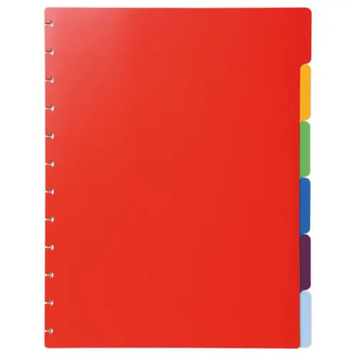 Intercalaires détachables et repositionnables - EXACOMPTA photo du produit