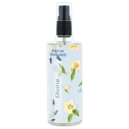 Vaporisateur Vapolux Divine photo du produit