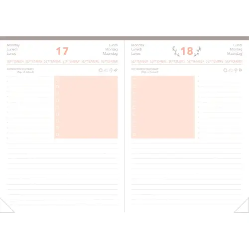 Agenda journalier DAILY 21 COLOR ML Pastel - 15x21 cm - Orange - Janvier à décembre - QUO VADIS photo du produit